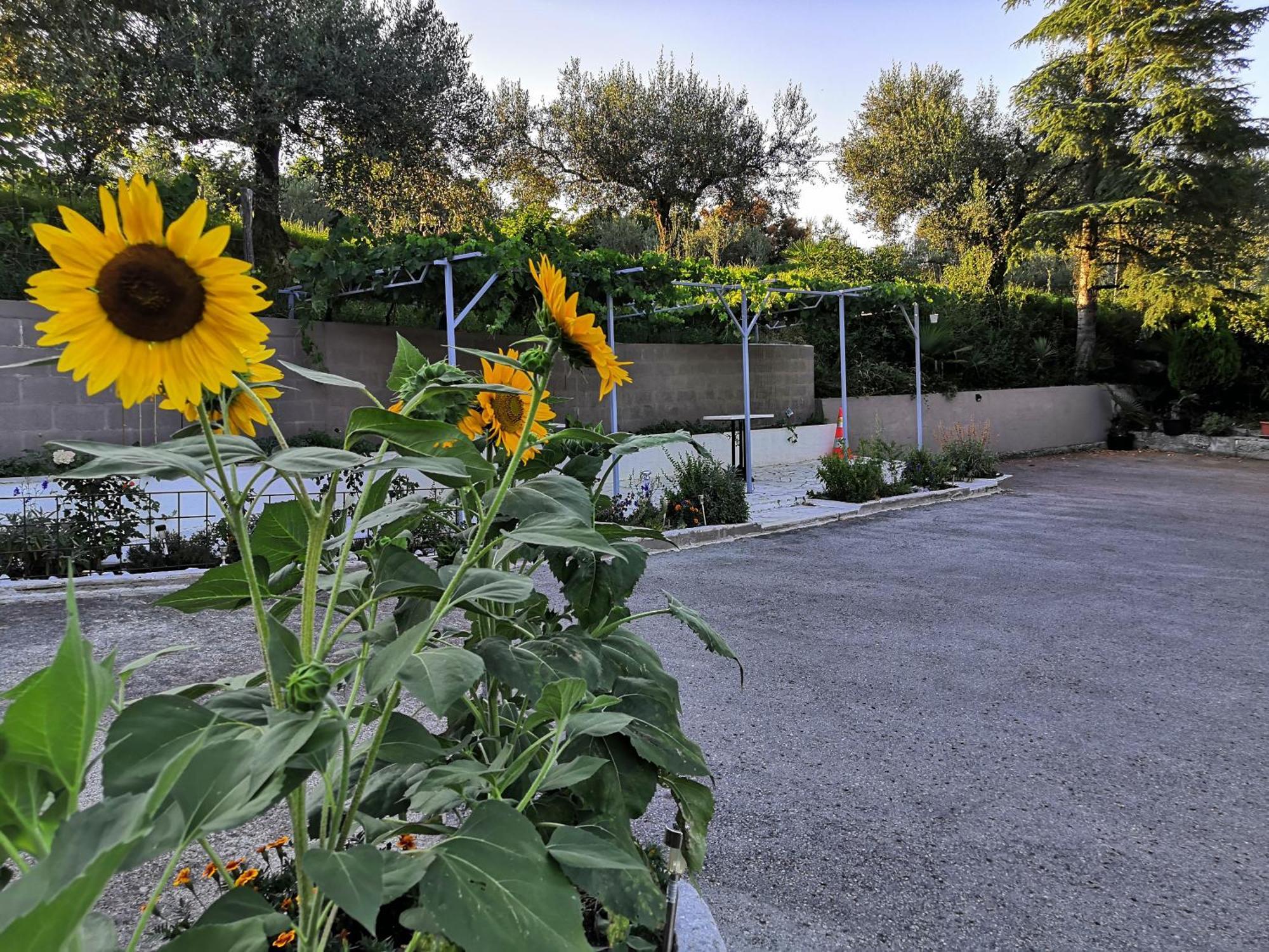 Apartmán Rosemarin Koper Exteriér fotografie